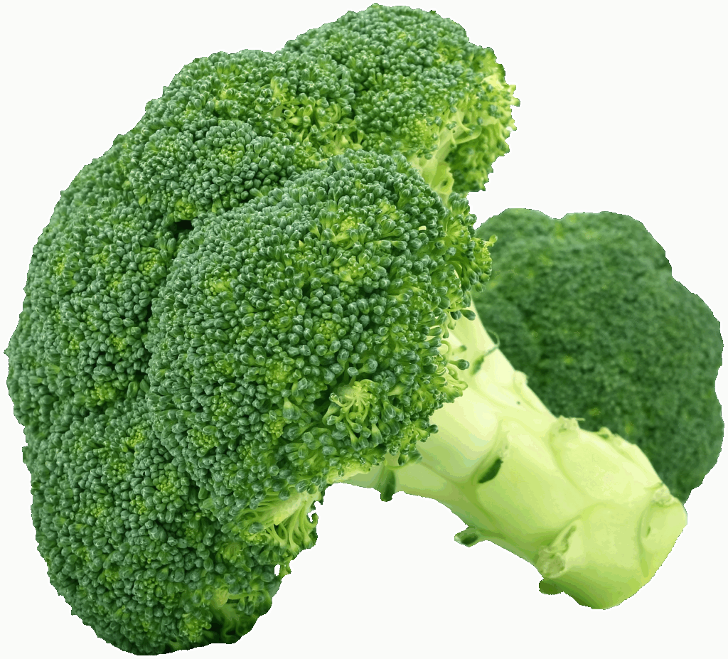 オーガニック食事で白髪改善を目指す方法は？