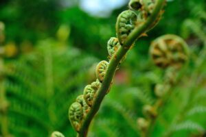 無添加の白髪用トリートメントは40代にどんな効果があるの？