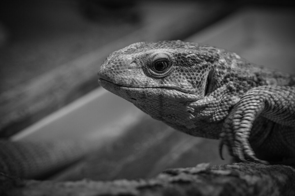 白髪染めの選び方でダメージを少なくする方法は？