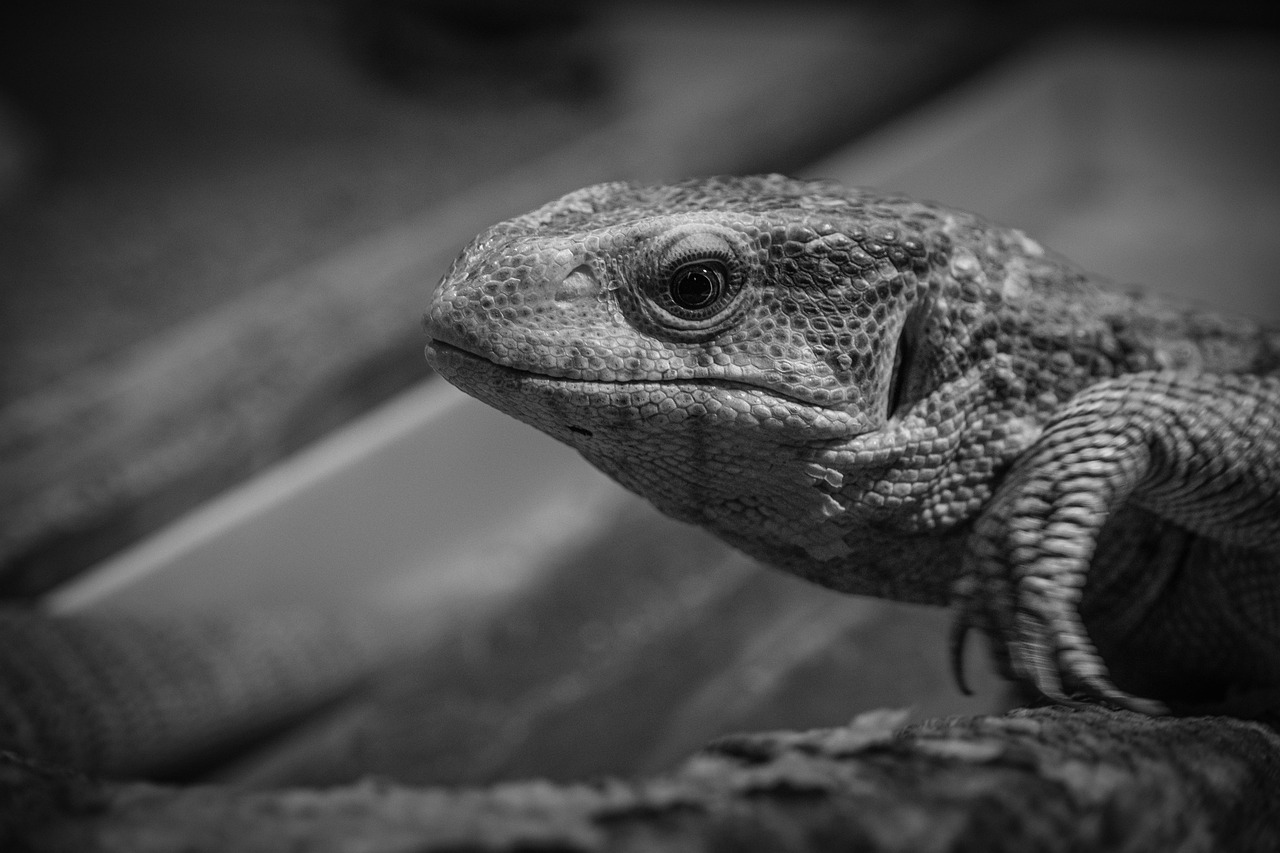 白髪染めの選び方でダメージを少なくする方法は？