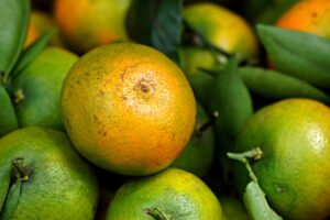 オーガニックカラー剤のカバー力はどのくらい？