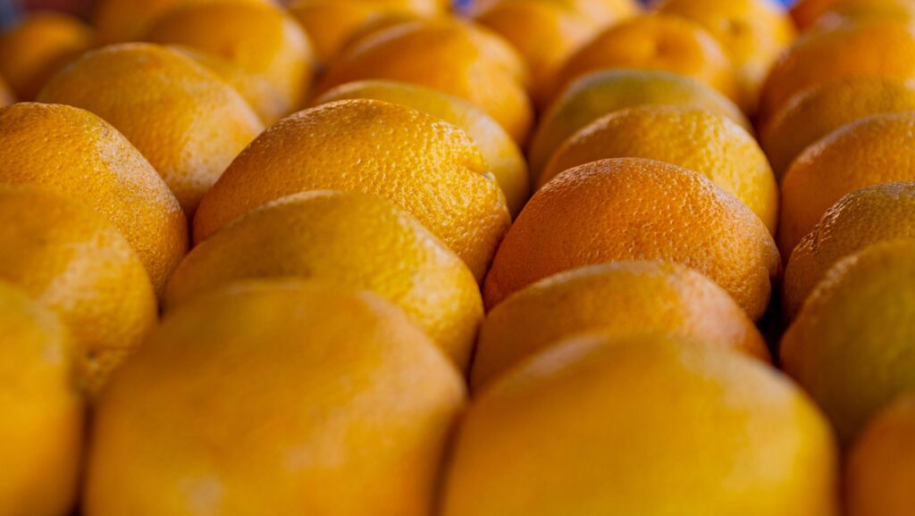 オーガニック白髪染めでおすすめの製品は？