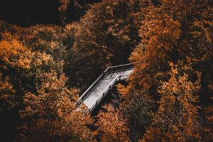 マインドフルネスで白髪を減らす方法とは？