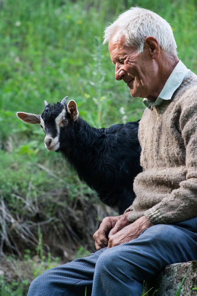 メラトニンサプリを使った白髪予防の効果とは？