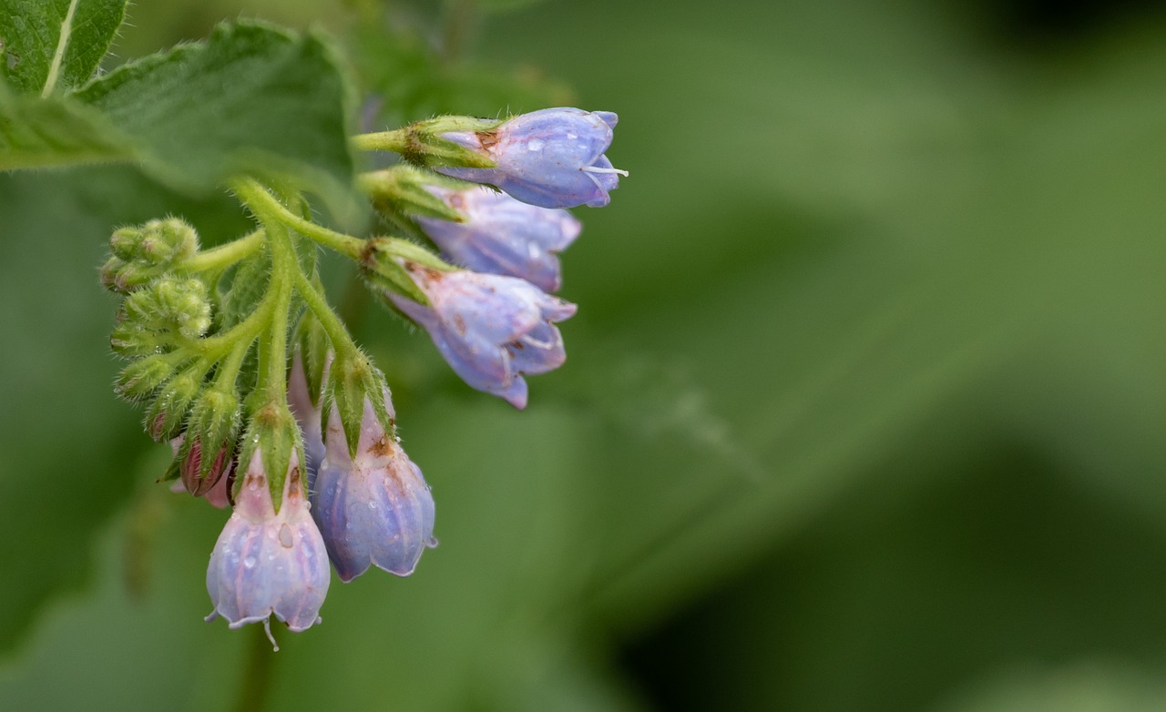産後の白髪対策にはどんな方法がある？